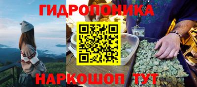 молекула духа Можга